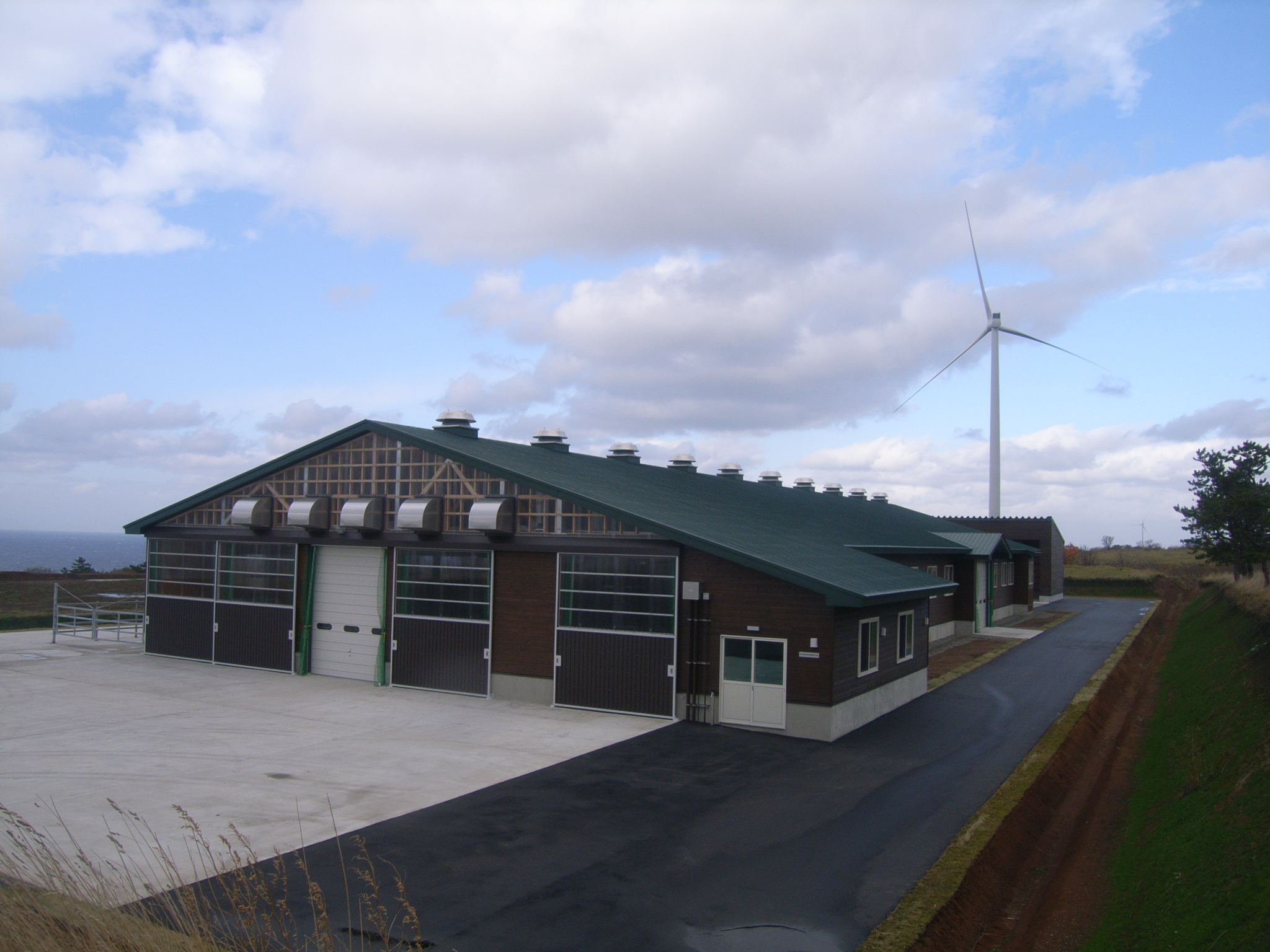 平成31年度施行 平成30年度繰越分 肉牛改良センター建設事業 牛舎建設（電気設備工事）